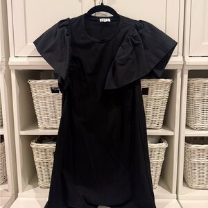 TCEC Black Mini Dress with Ruffled Sleeves